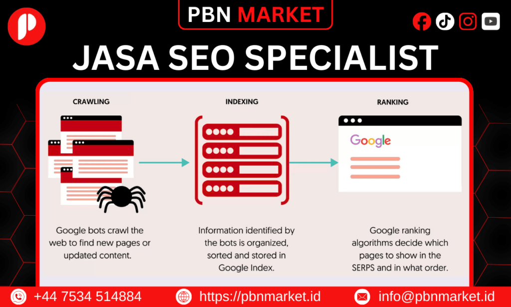 Jasa SEO Specialist